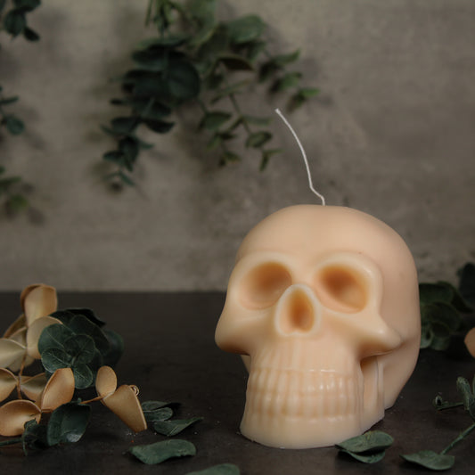 Skull Candle